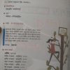 B.Ed scanner (বিএড স্ক্যানার) - 1st semester - Aaheli publishers - Image 2